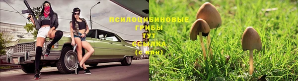 мяу мяу кристалл Аркадак
