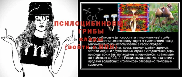 тгк Армянск