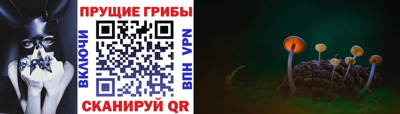 Галлюциногенные грибы Cubensis  Купить  Сатка 